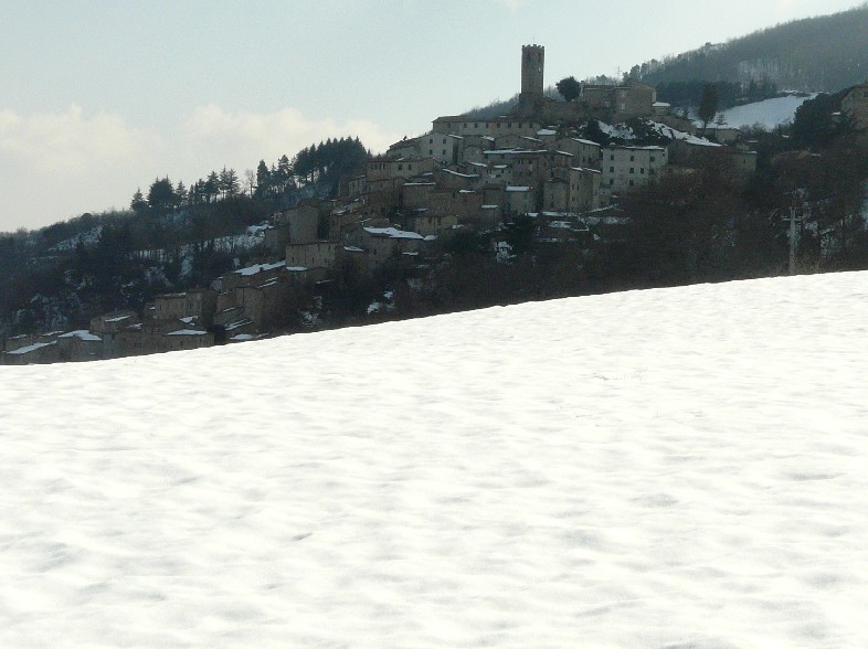 colpo di coda invernale e anfibi